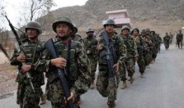 深圳阿军最新爆料,最新爆料背后的惊人真相